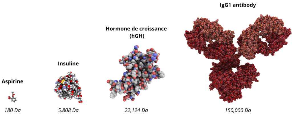 petites molécules VS biomédicaments, biothérapies, taille