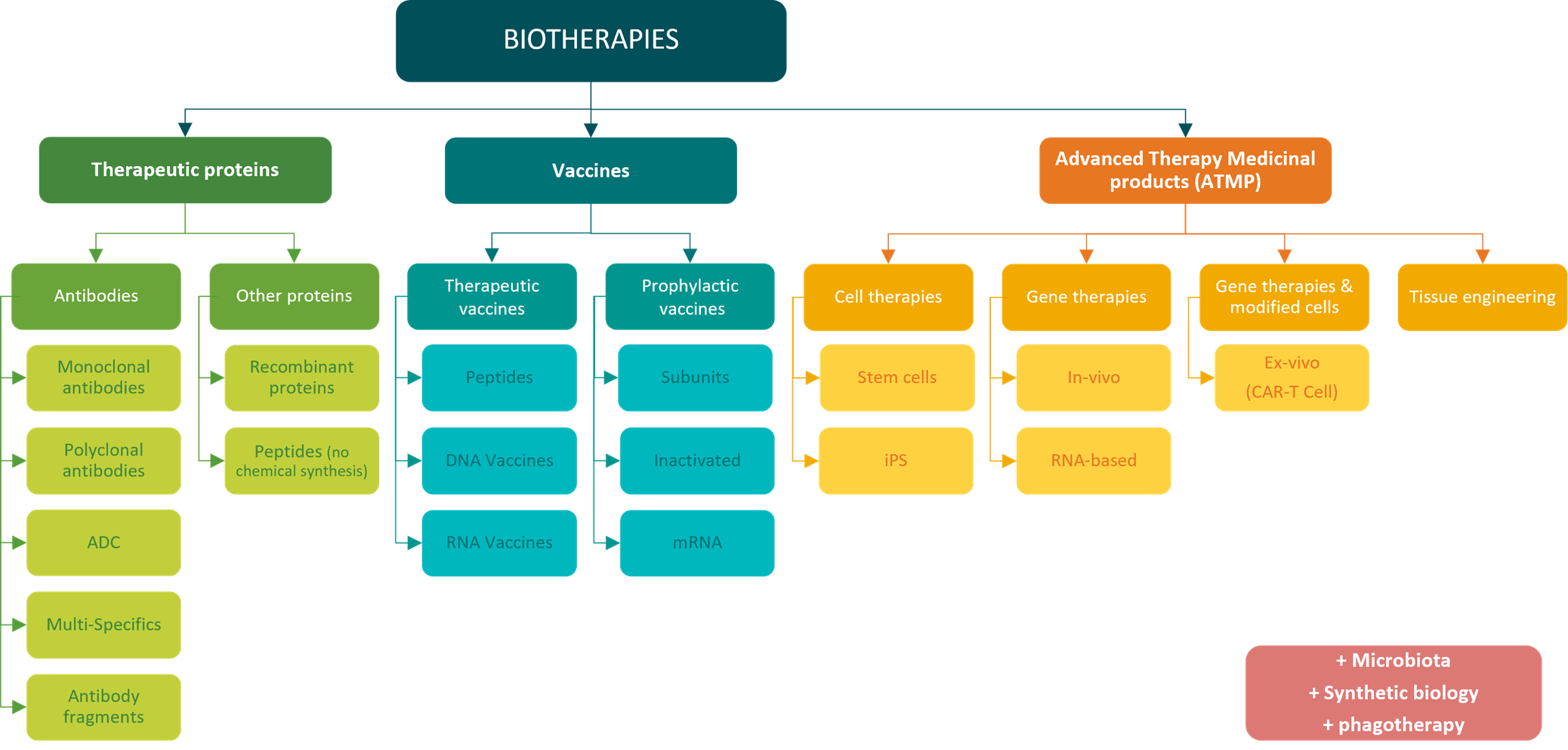 familles et sous familles de biomédicaments