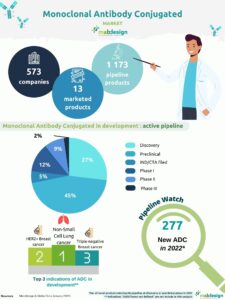 anticorps conjugués, antibody-drug conjugates, ADCs, market analysis, analyse marché, anticorps conjugués, anticorps armés, monoclonal antibody conjugated, immunoconjugués