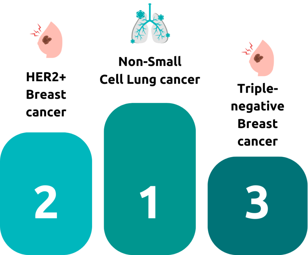 marché anticorps conjugués, antibody-drug conjugates, top indications, cancer