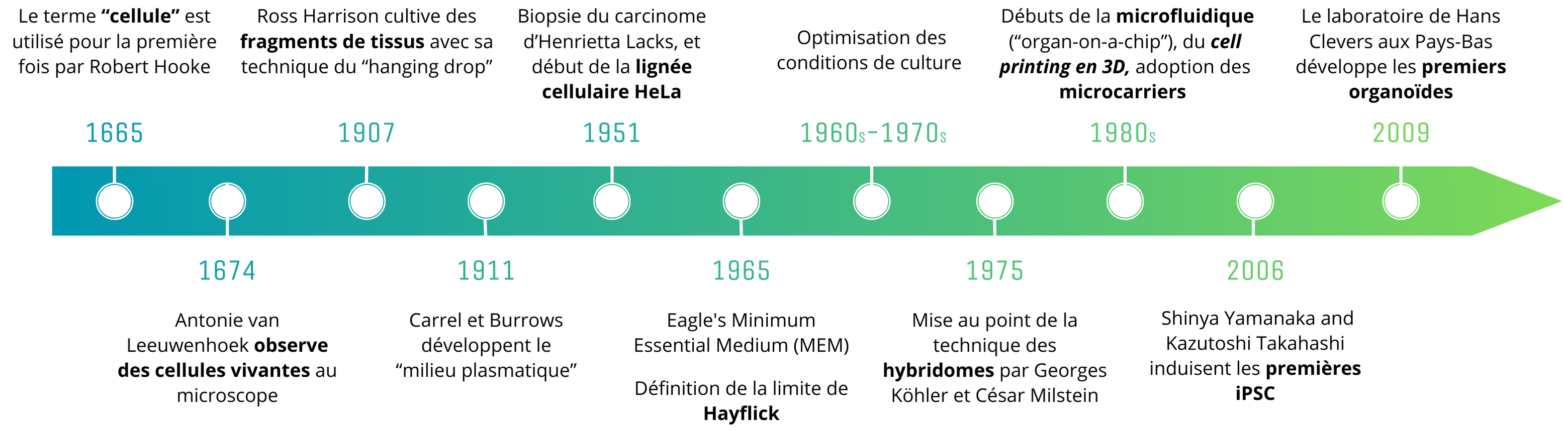 histoire culture cellulaire