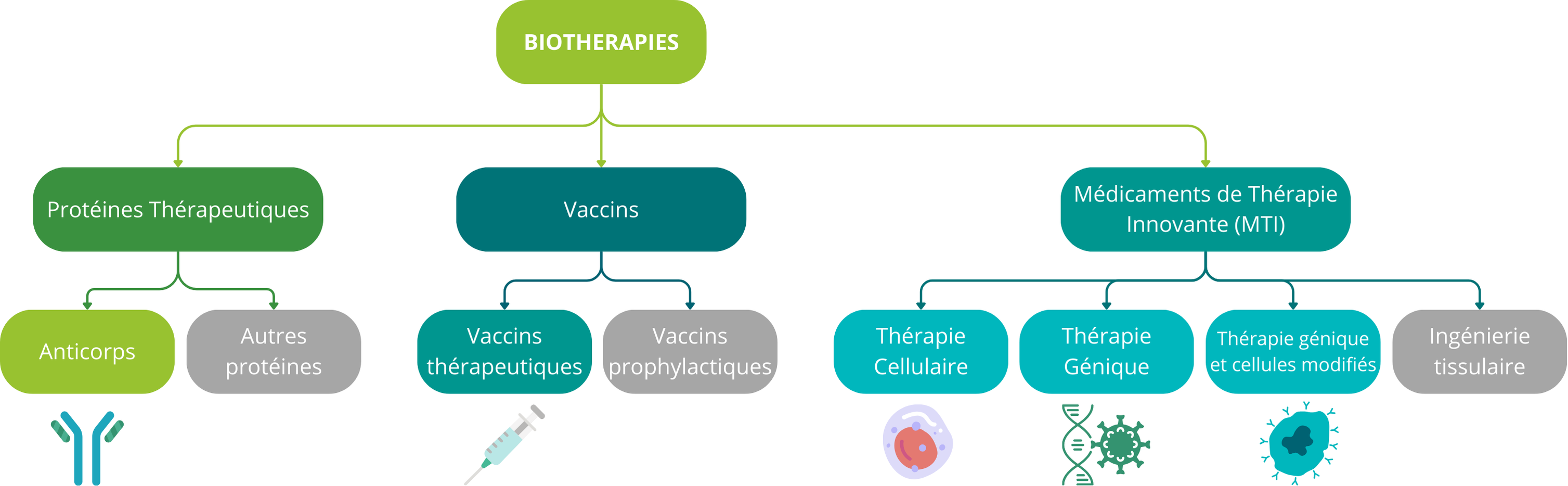 biothérapies en oncologie ; classification ; marché immuno-oncologie