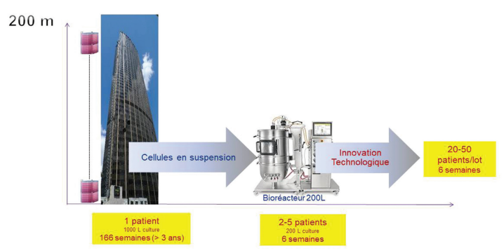 Production vecteurs viraux