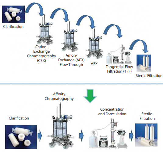 Downstream process ; DSP