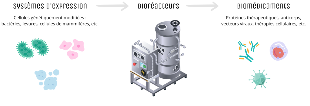 bioproduction